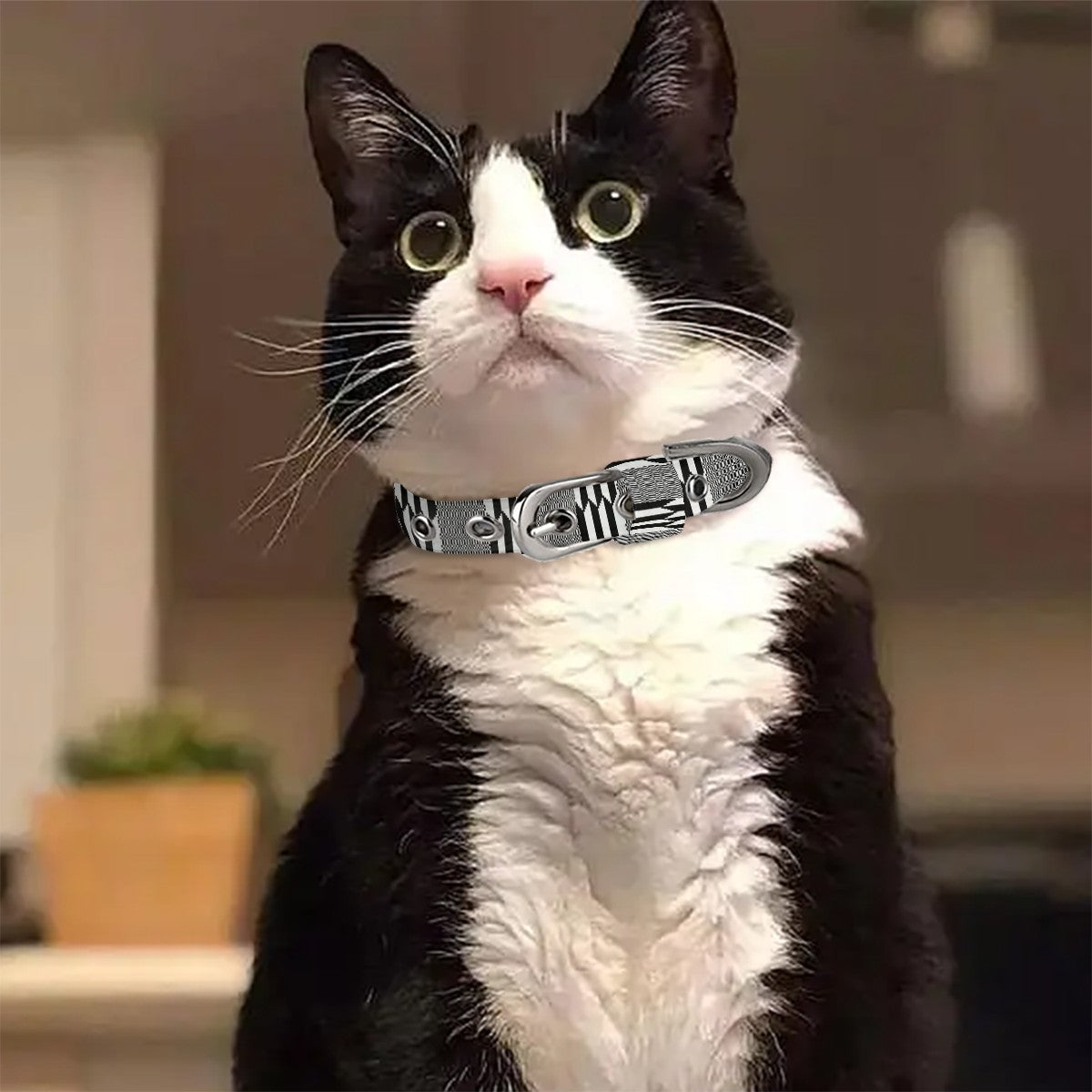 Pet Collar