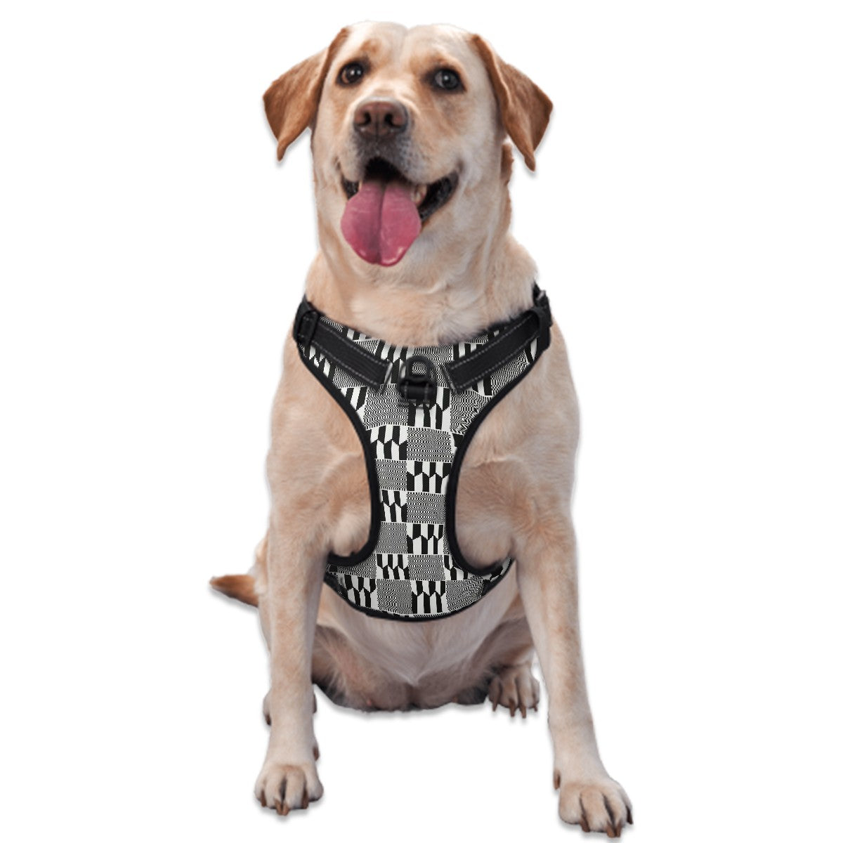 Dog Harness