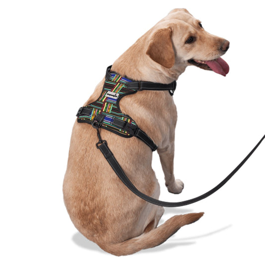 Dog Harness