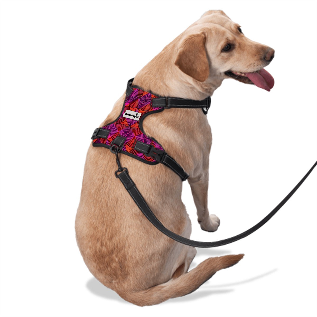 Dog Harness