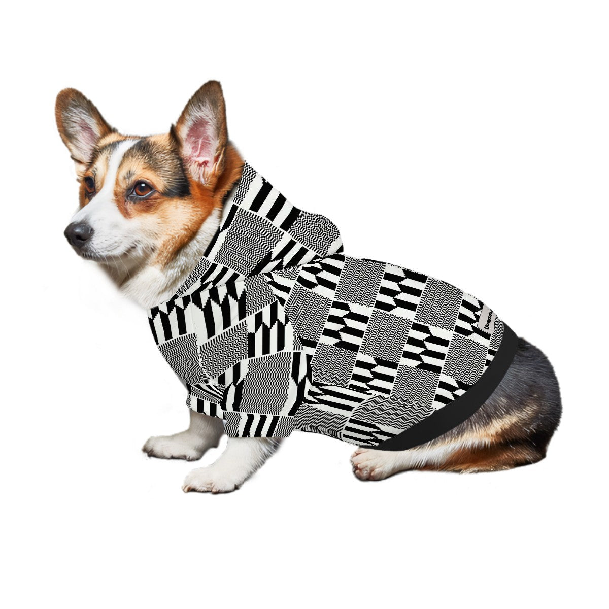 Small Dog Hoodie