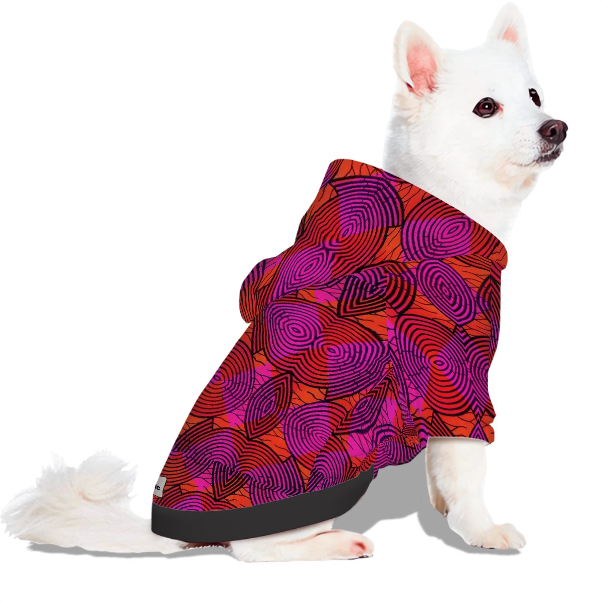Small Dog Hoodie