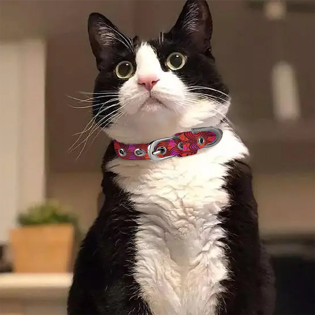 Pet Collar