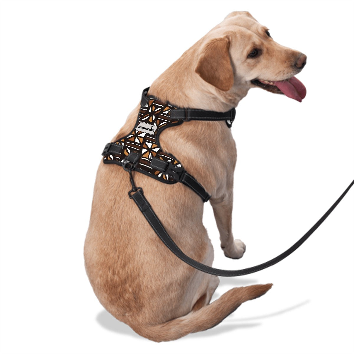 Dog Harness