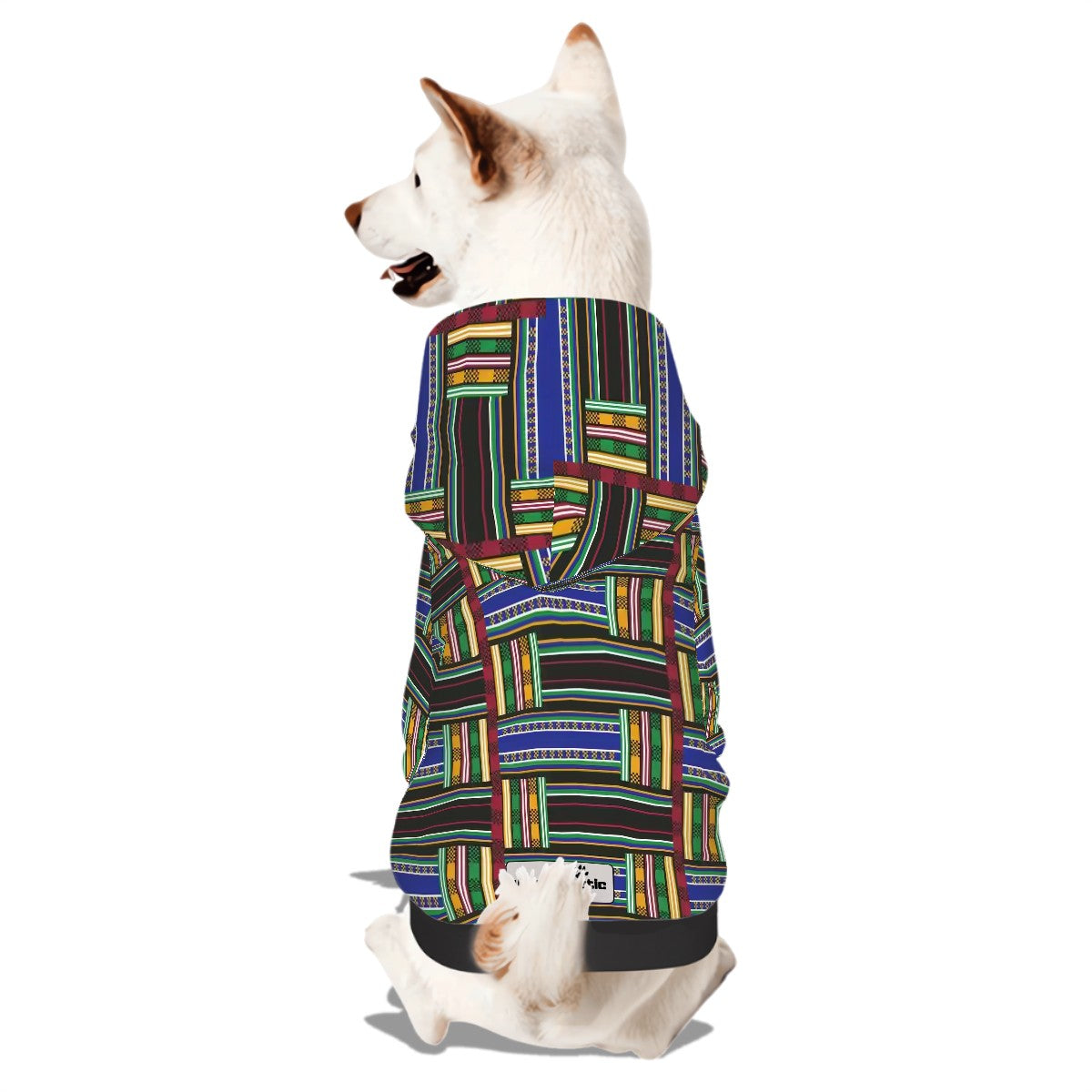 Small Dog Hoodie