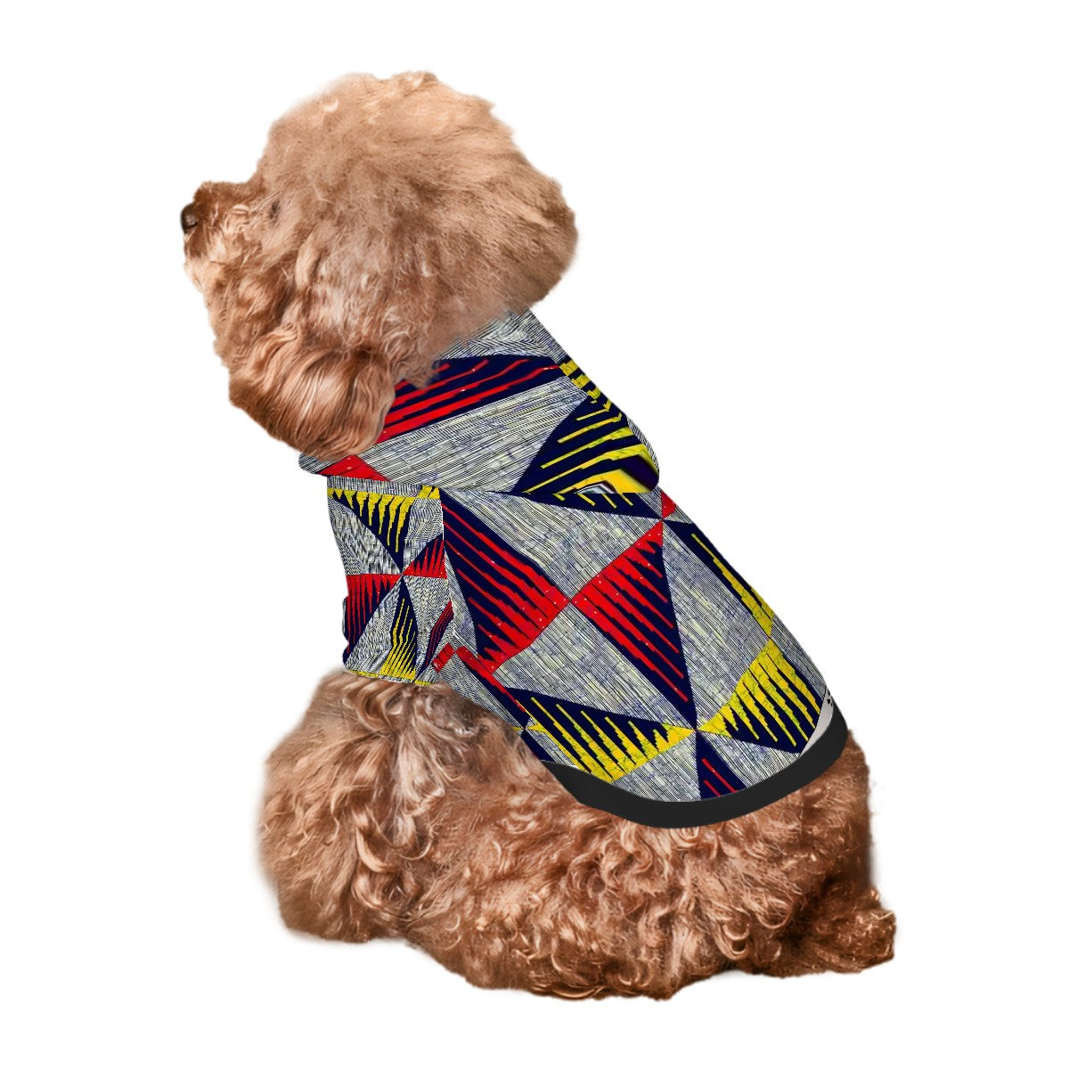 Small Dog Hoodie