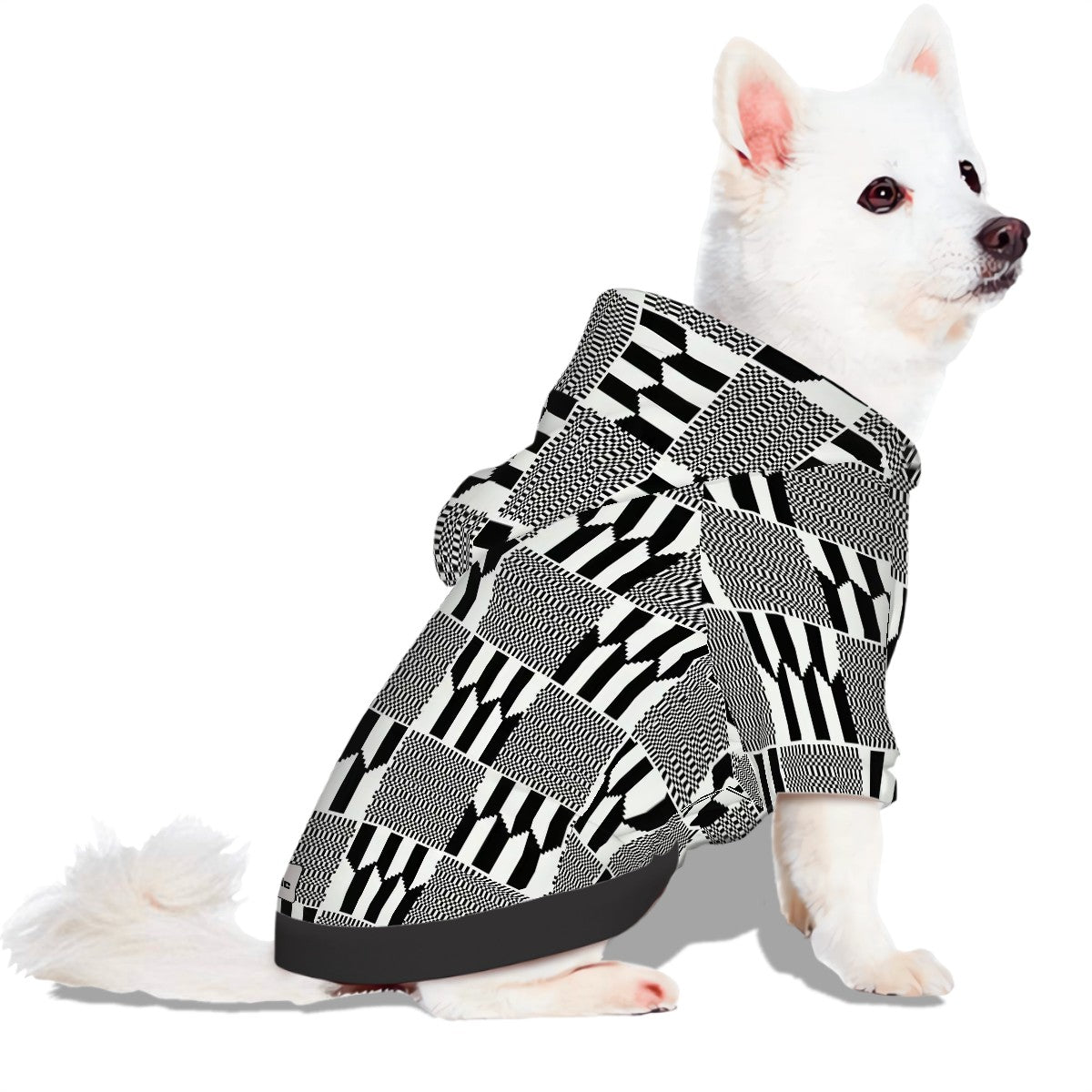 Small Dog Hoodie