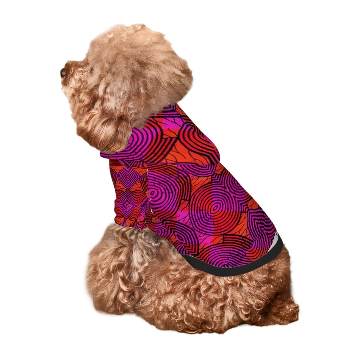 Small Dog Hoodie