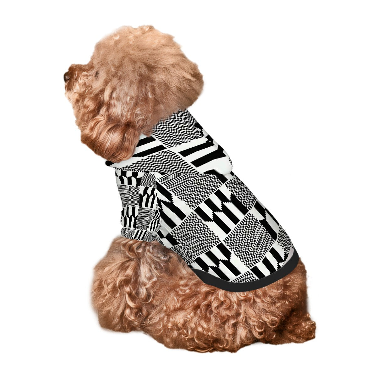 Small Dog Hoodie
