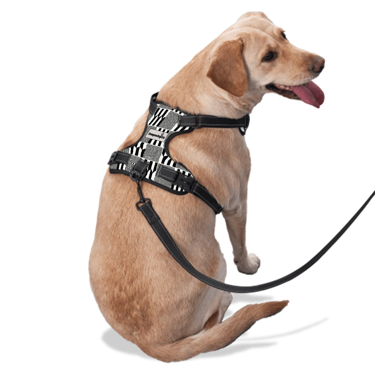 Dog Harness