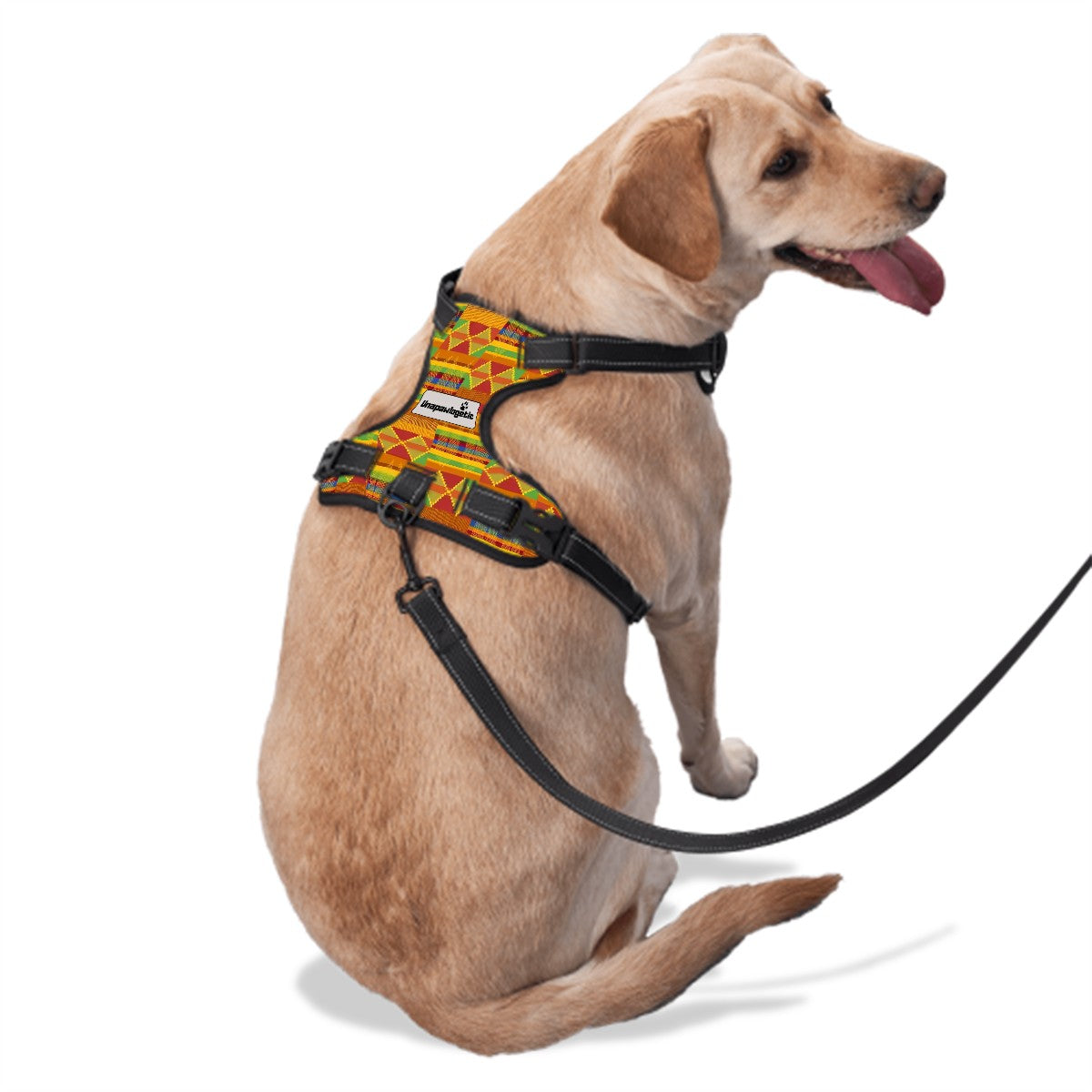 Dog Harness